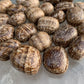 Full profile of Grade AA Brown Aragonite tumbled stone ready to ship from Beyond Bohemian