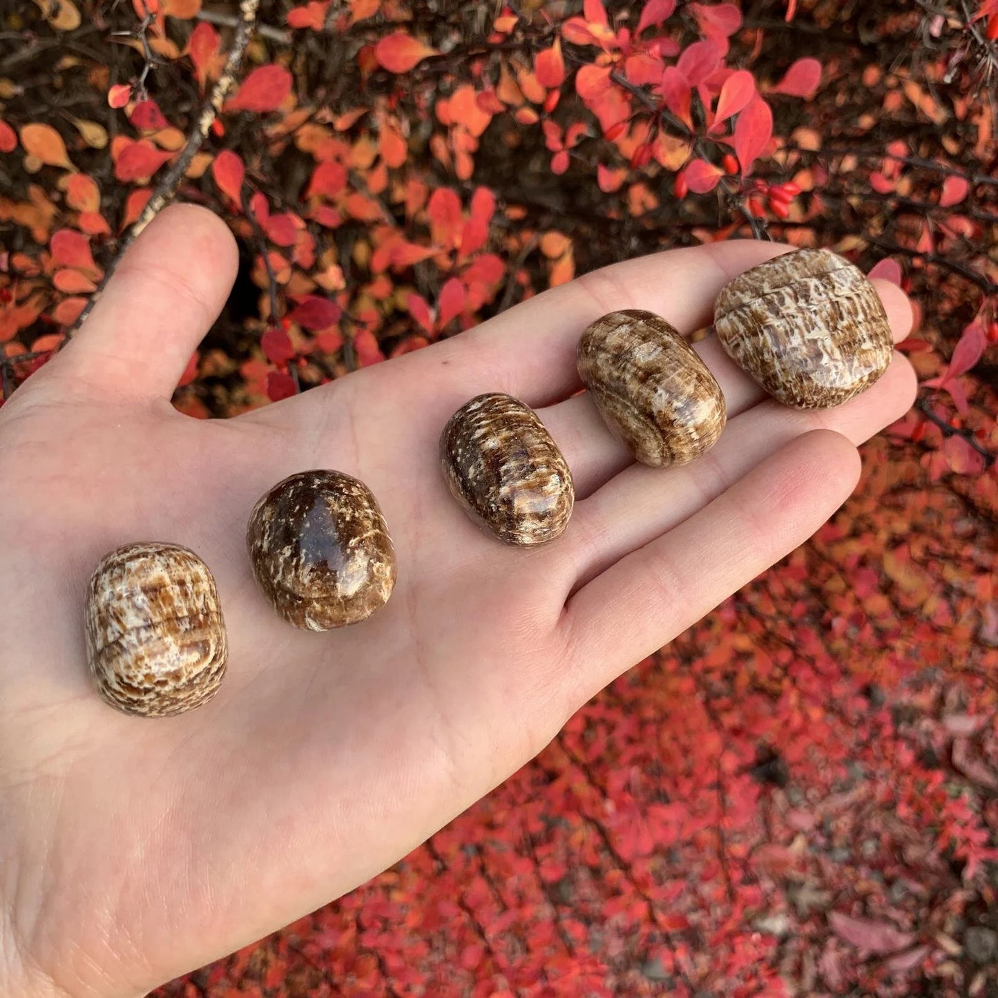 Full profile of Grade AA Brown Aragonite tumbled stone ready to ship from Beyond Bohemian