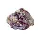 In-hand view of a Lepidolite specimen held against natural backdrop.