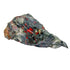 Detail shot of Grade AA Bloodstone specimen under natural light