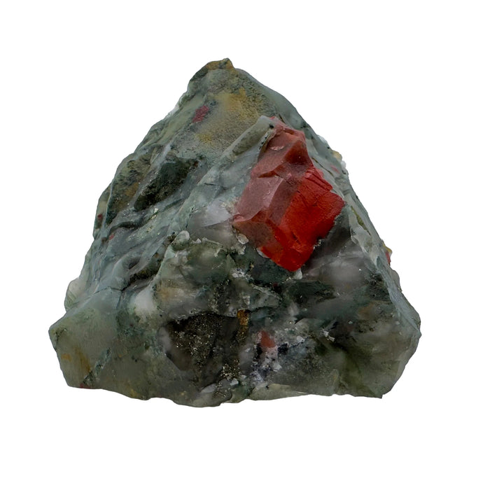 Hand-scale shot of a Bloodstone specimen held against natural backdrop, from Hhohho, Eswatini.