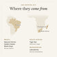 Map of where the stones in the Leo Crystal Kit come from: Brazil (natural citrine, golden healer and black onyx), South Africa (tiger eye) and Madagascar (labradorite)