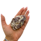 Lepidolite crystal specimen from Brazil held in hand to show scale