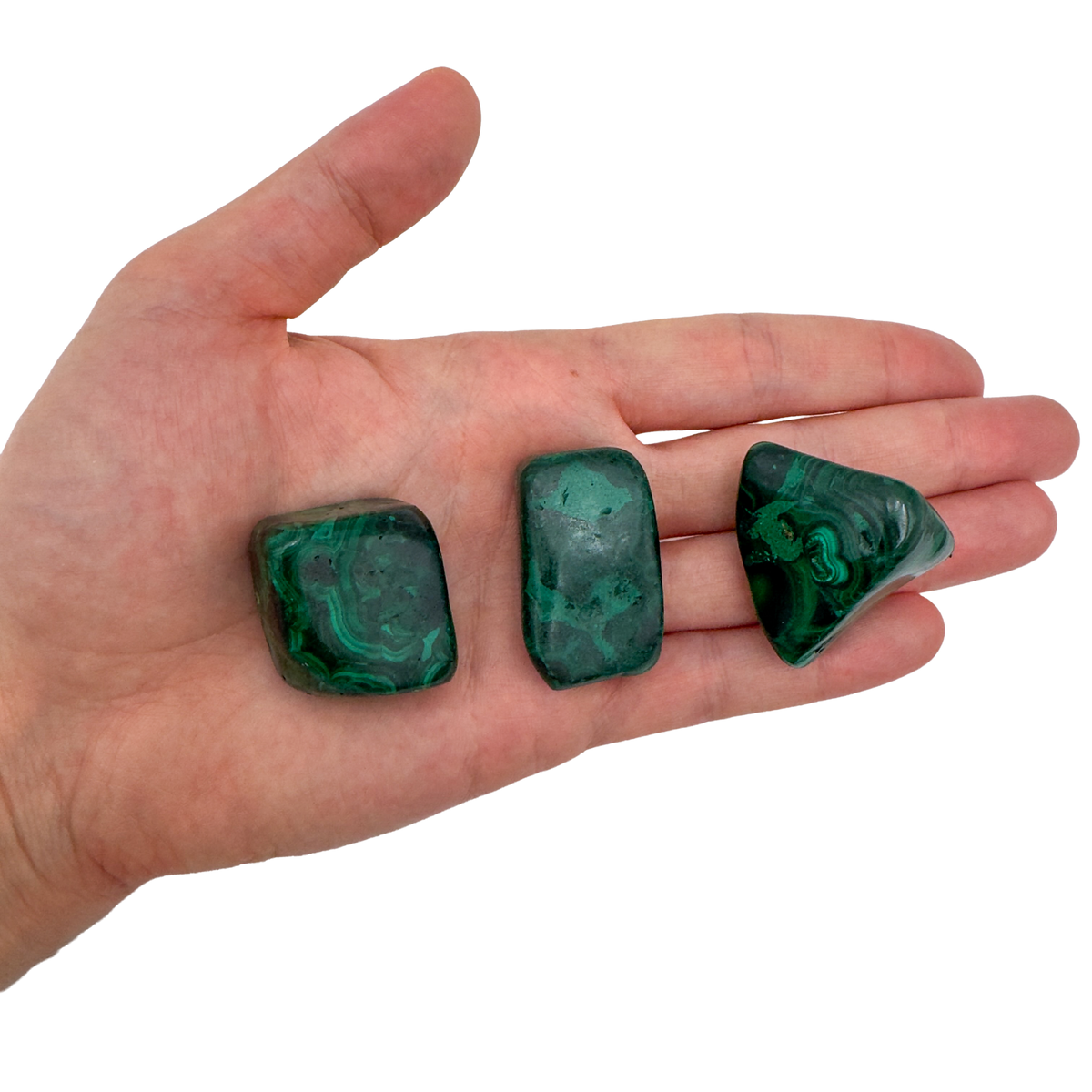 Three AA Grade Malachite hand polished stones held in hand for scale, from Democratic Republic of the Congo