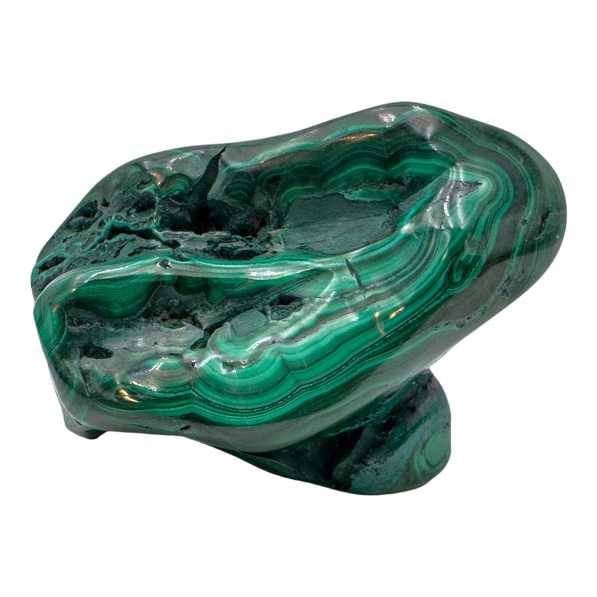 Malachite specimen viewed from a rounded angle, showing rings of banding across its lower half.