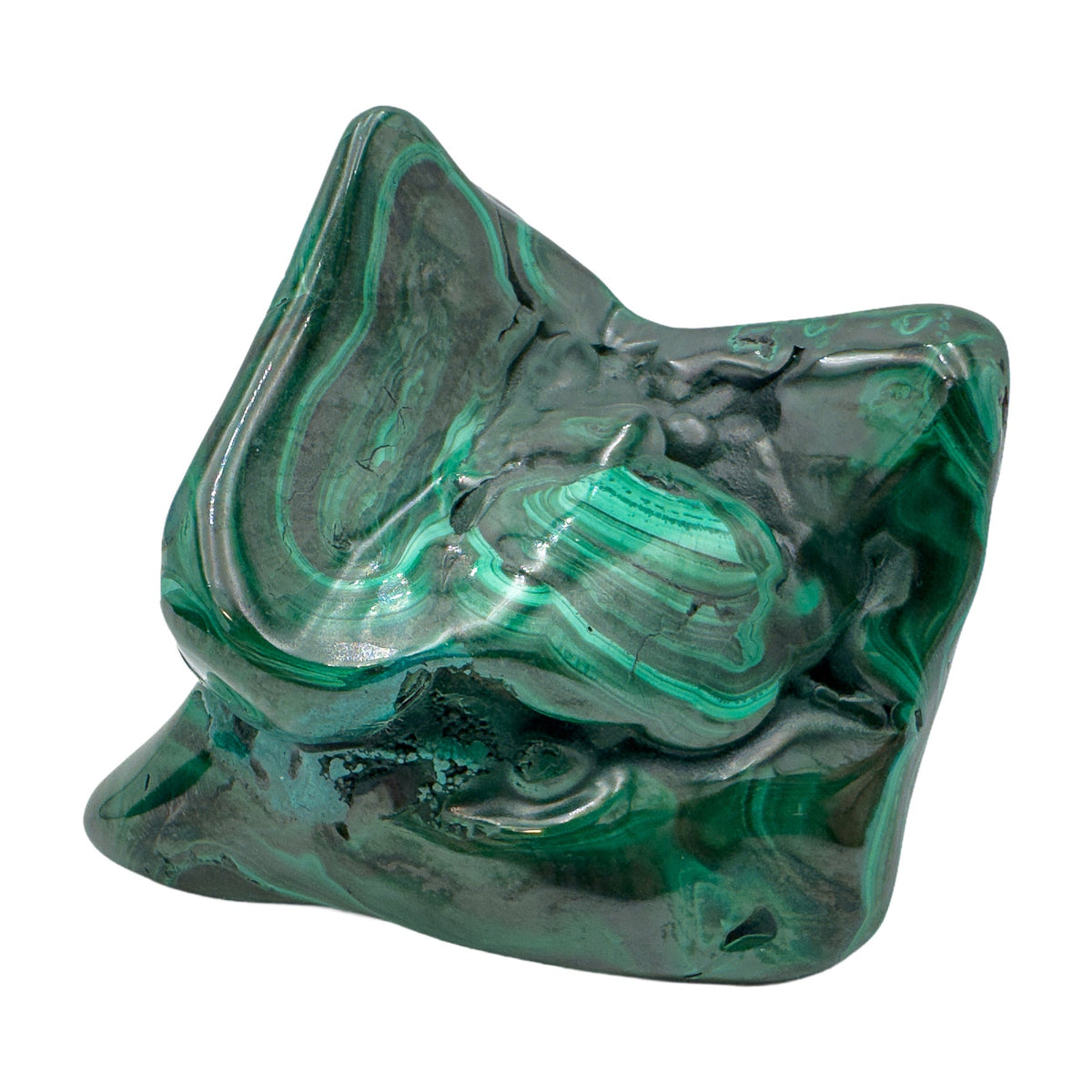 AA-grade malachite specimen from Haut-Katanga, Democratic Republic of the Congo, angled to show green banding wrapping around its full, rounded form.