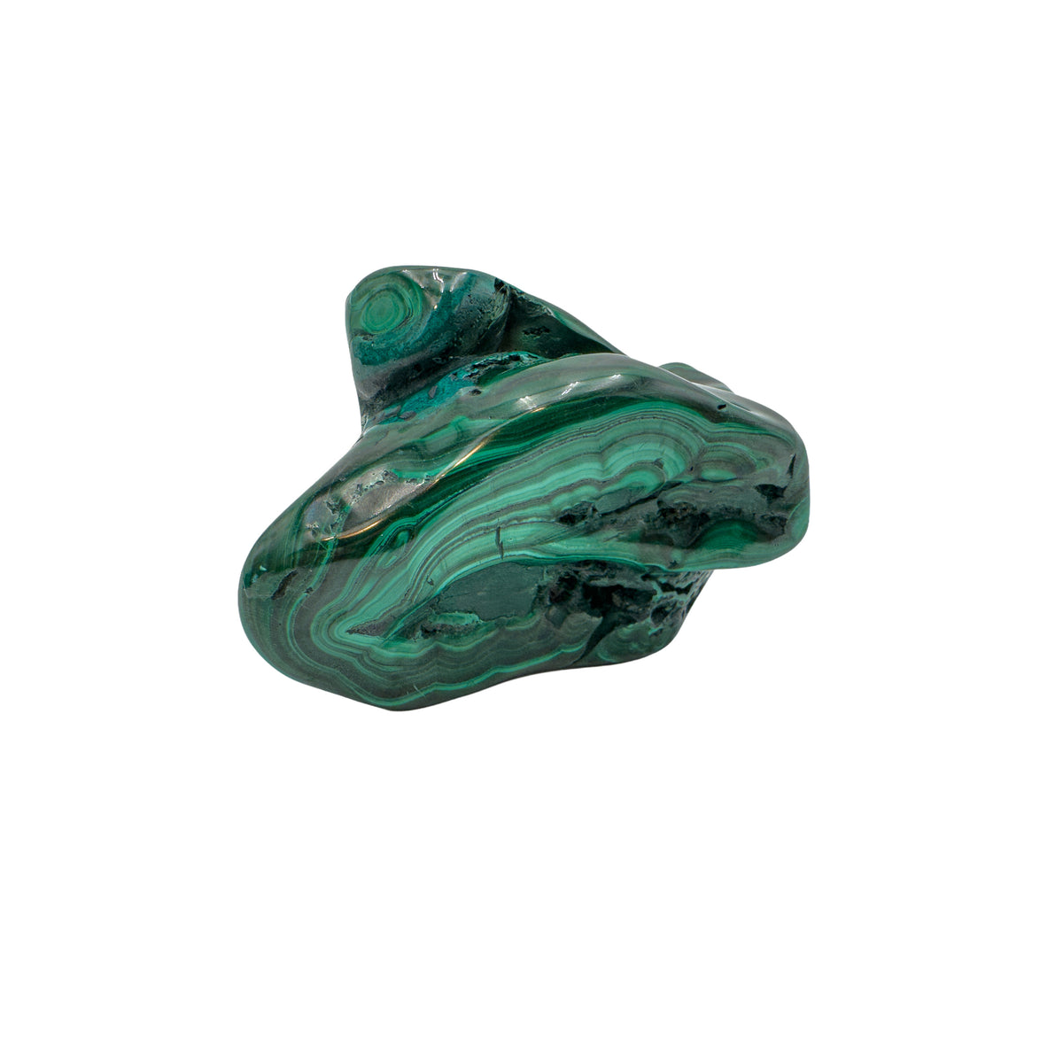 Malachite specimen shown lengthwise, with curved layers of banding stacked low across its elongated side.