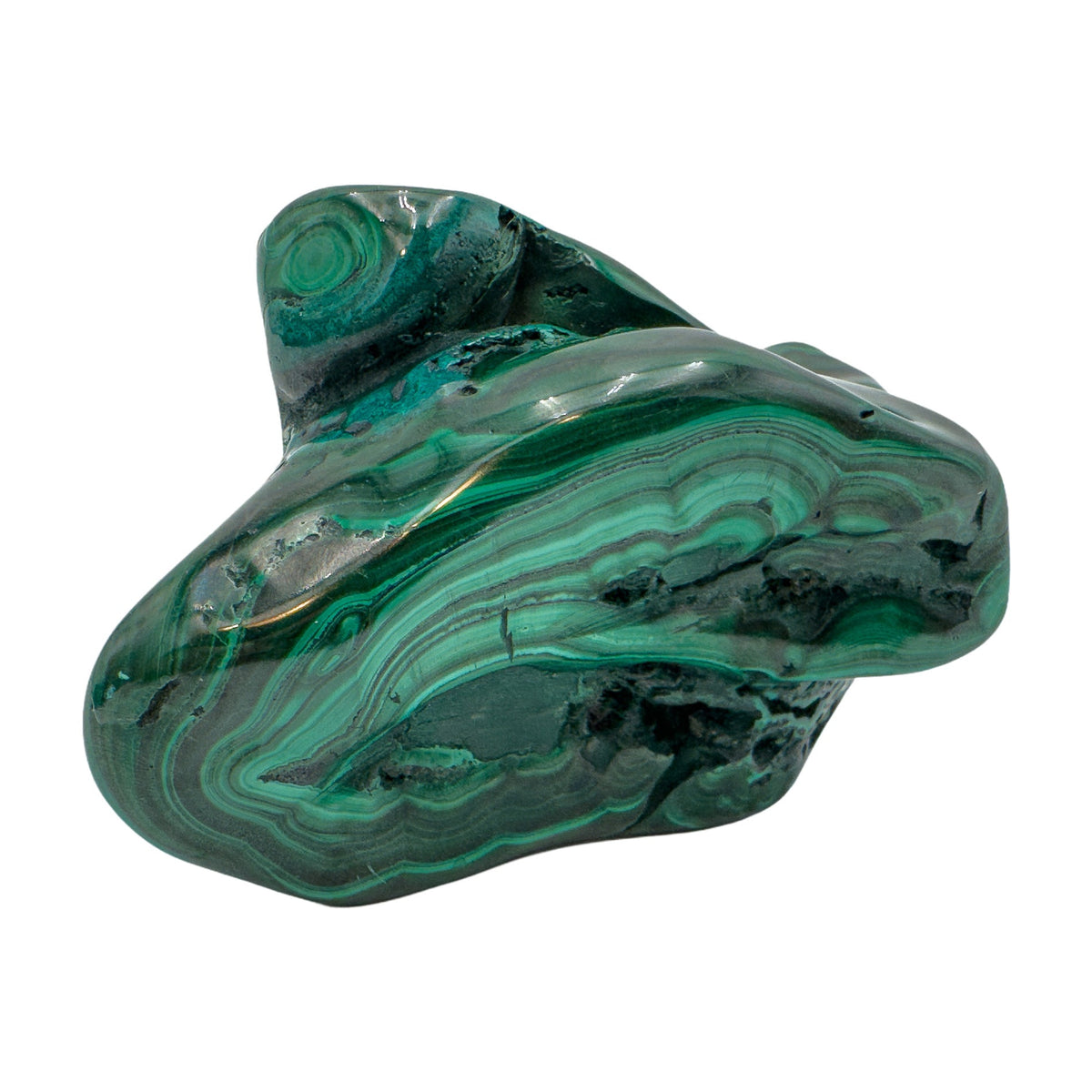Malachite specimen shown lengthwise, with curved layers of banding stacked low across its elongated side.