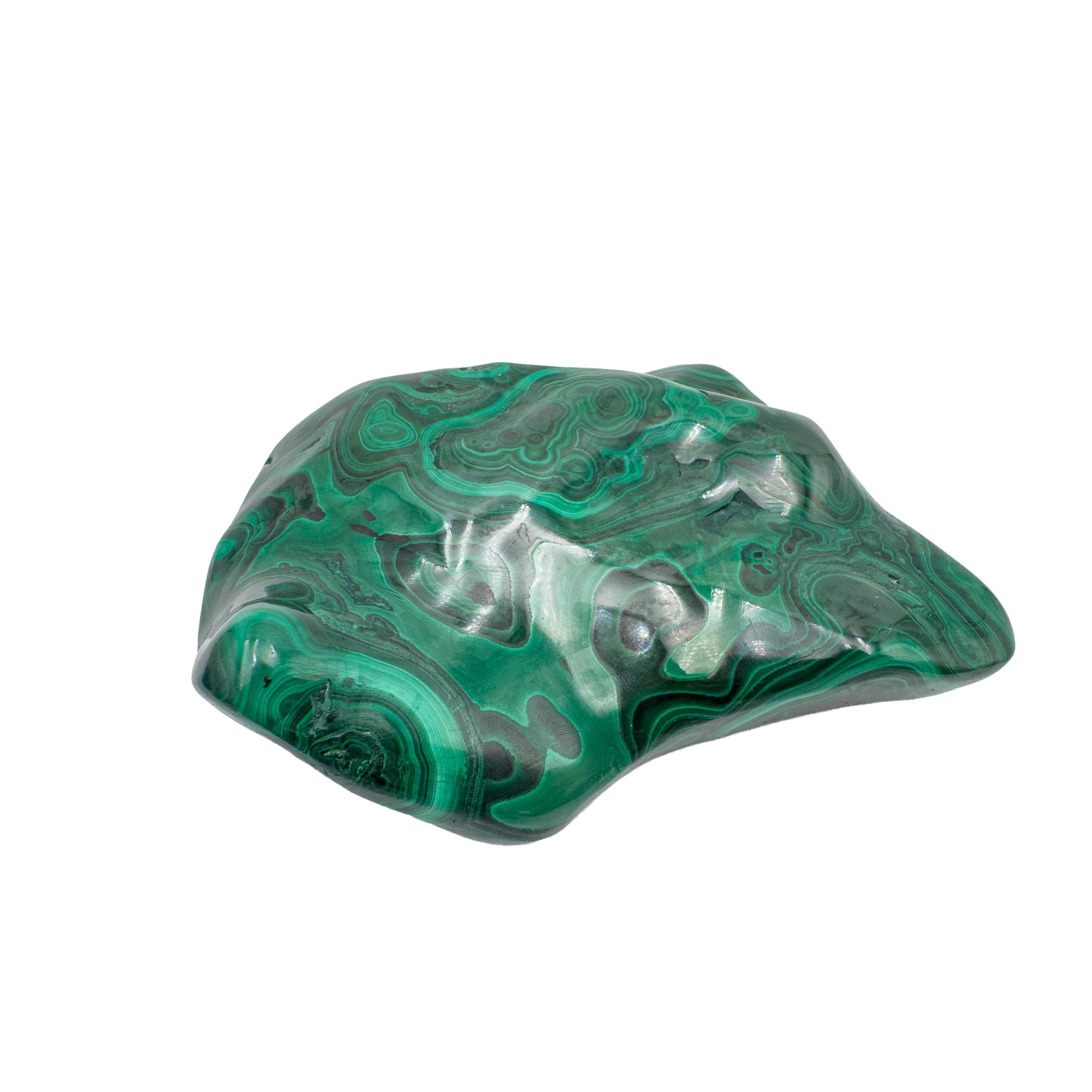 AA-grade malachite specimen from Haut-Katanga, Democratic Republic of the Congo, shown from a three-quarter angle with green banding curving across its low, wide profile.