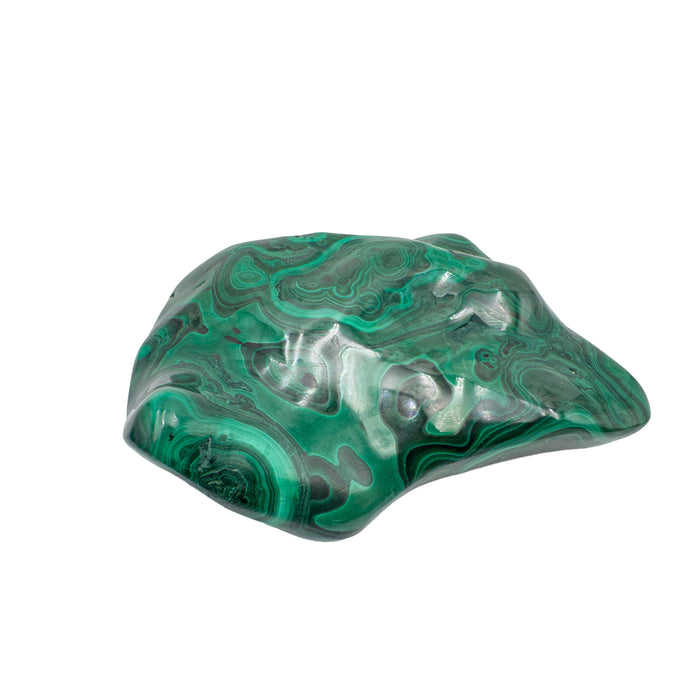 AA-grade malachite specimen from Haut-Katanga, Democratic Republic of the Congo, shown from a three-quarter angle with green banding curving across its low, wide profile.