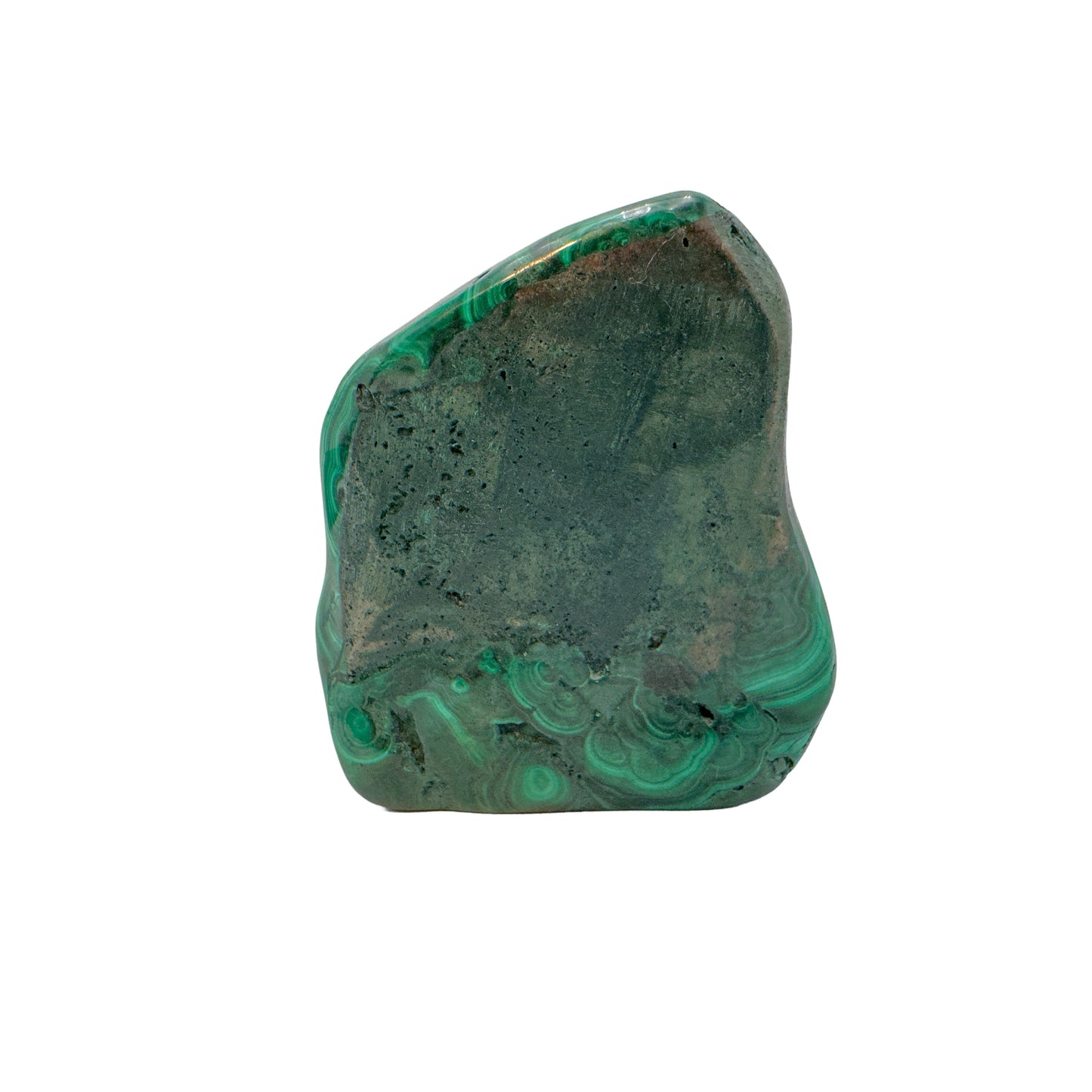 Malachite specimen angled to show a raw, unpolished patch across its crown above the banded body.