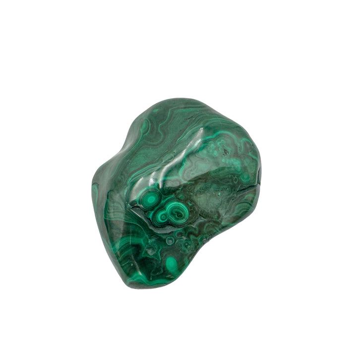 AA-grade malachite specimen from Haut-Katanga, Democratic Republic of the Congo, angled to show a ring of banding near its base.