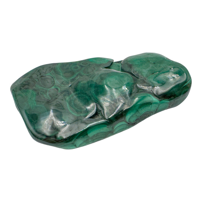 AA-grade malachite specimen from Haut-Katanga, Democratic Republic of the Congo, shown lengthwise from a low side angle across its elongated shape.