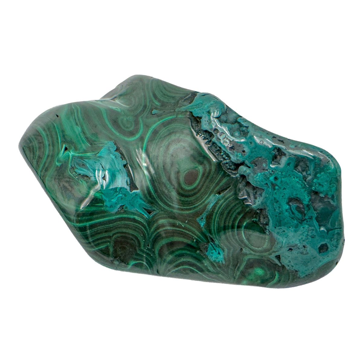 AA-grade malachite specimen from Haut-Katanga, Democratic Republic of the Congo, shown at an angle with a raw, unpolished patch left along the top edge.