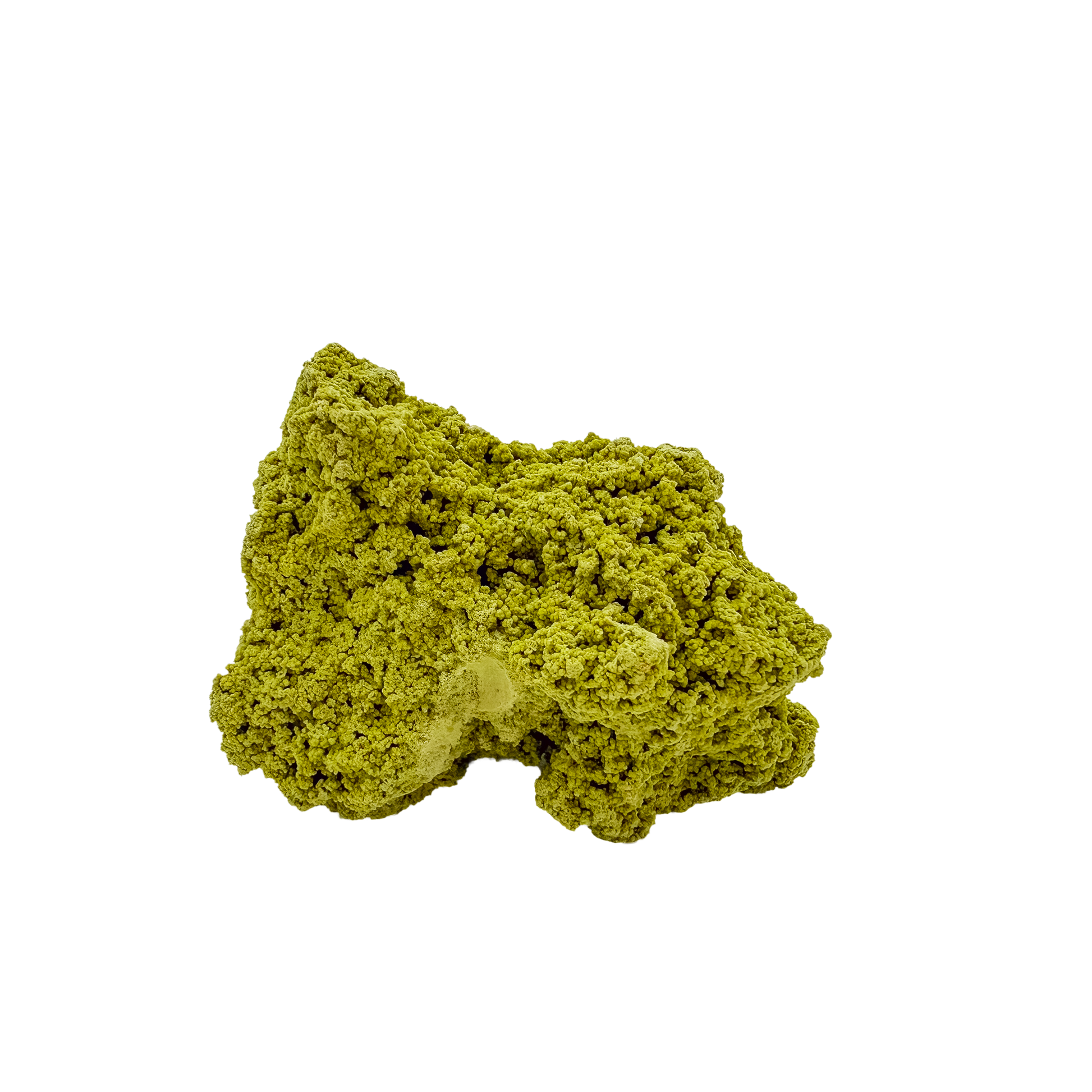 Collector-grade Brazilian nontronite no. 10 photographed from the reverse side, 2.22 by 2.59 inches of bubbled green clay mineral.