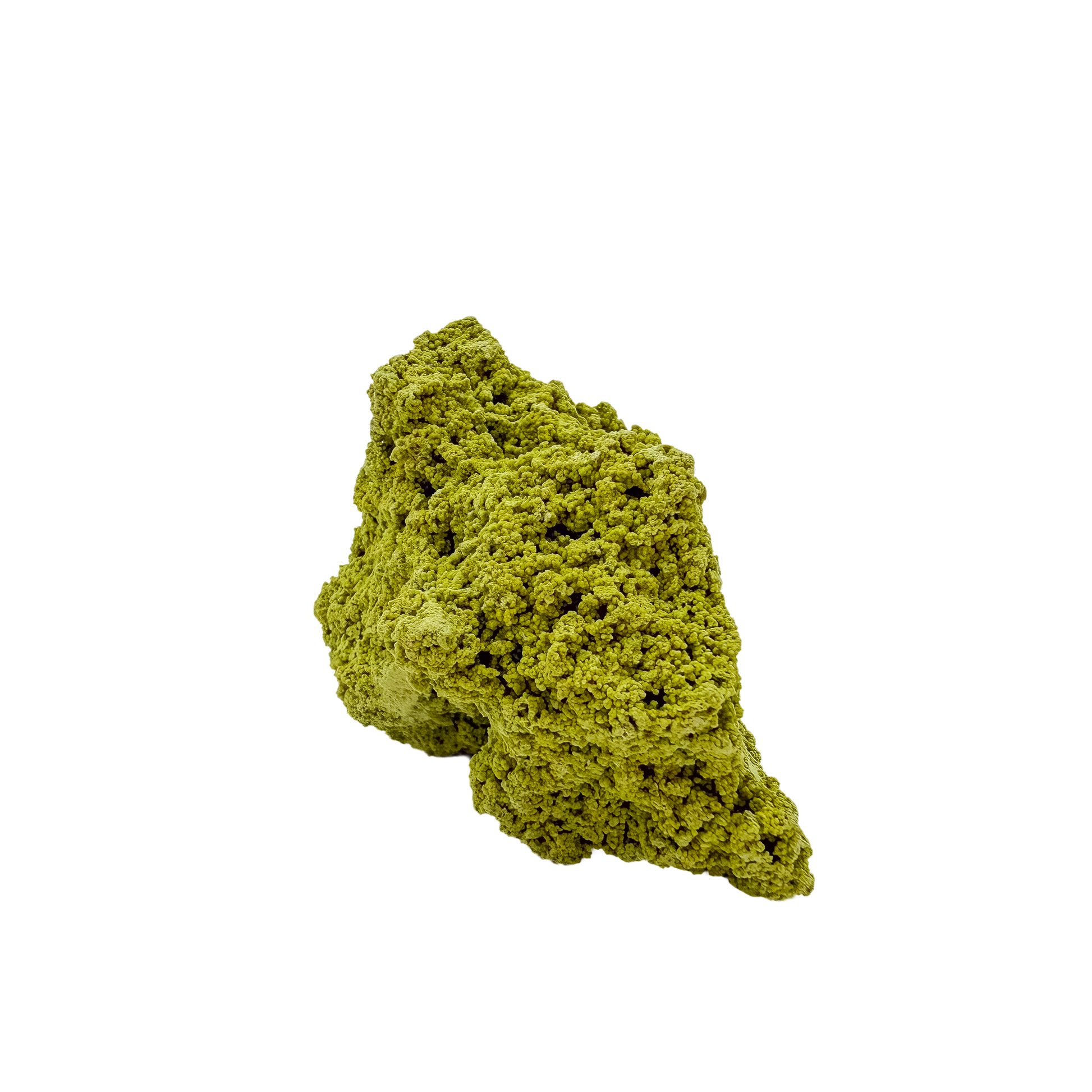 The left profile of nontronite no. 10, a 1.97 inch tall piece whose yellow-green surface reads as clustered bubbles.