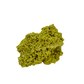 Primary display face of a 56 gram nontronite specimen, no. 10, its rounded olive-green growths covering weathered host rock.