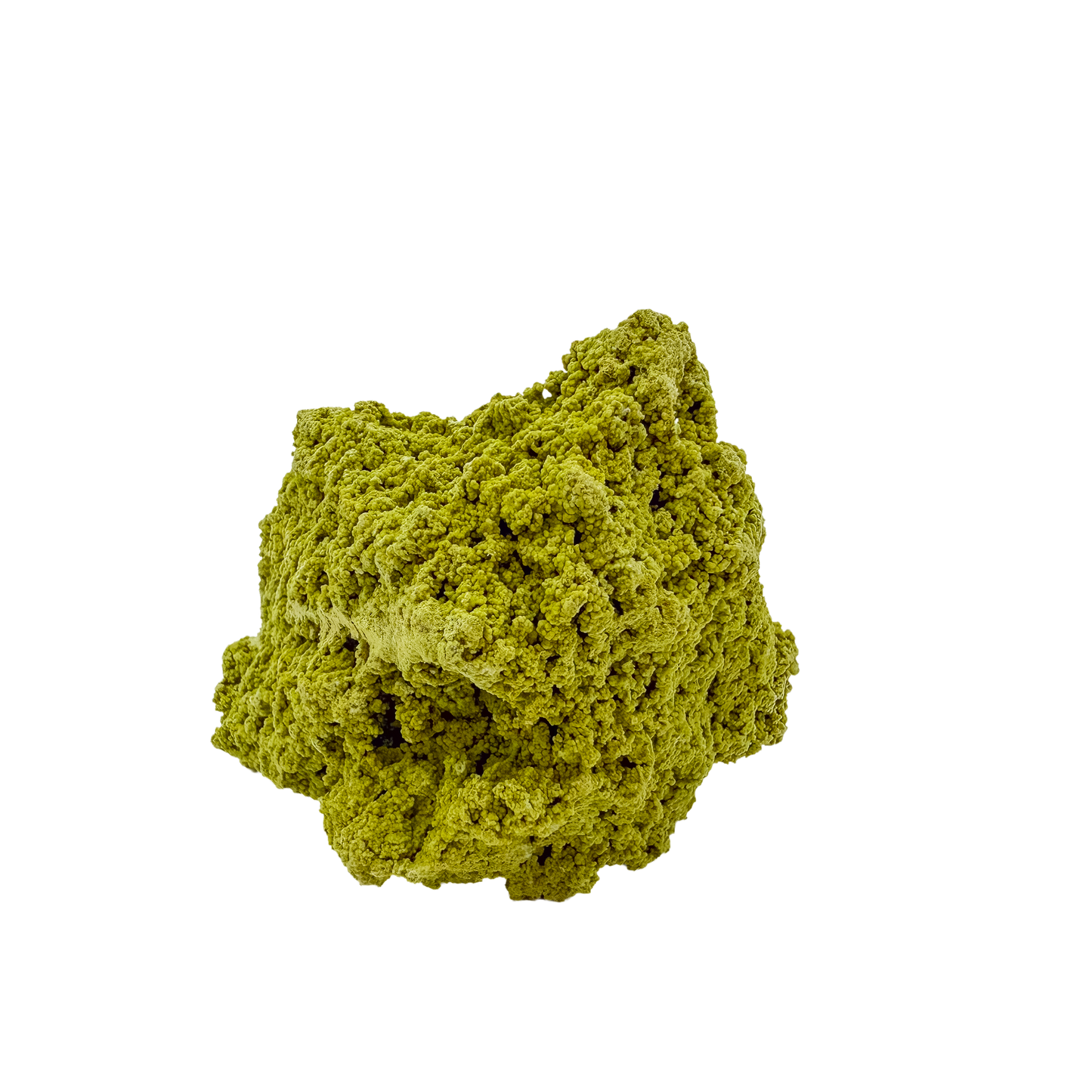 Nontronite no. 10 seen from the right profile: 56 grams of iron-rich smectite clay in chartreuse and olive tones.