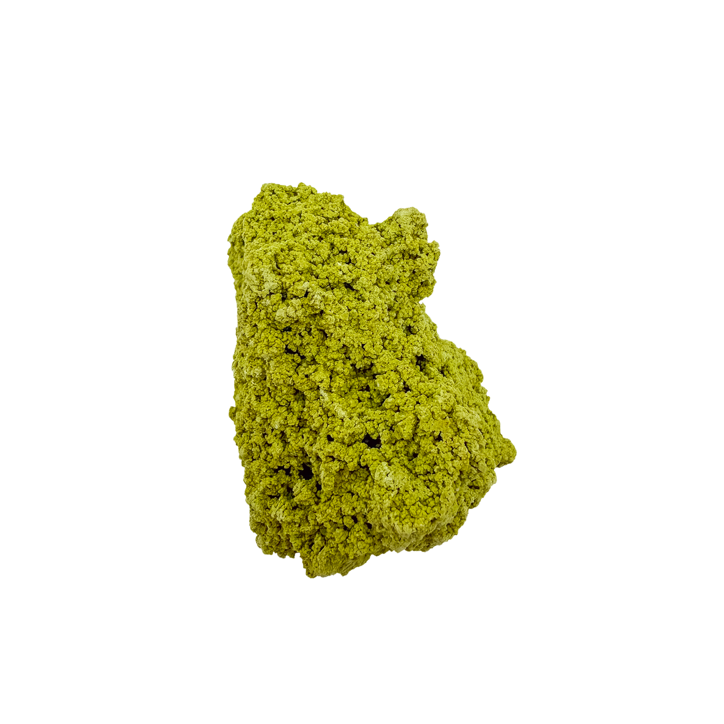 Top-down view of nontronite specimen no. 10, 2.59 inches wide, with soft botryoidal texture over exposed matrix.