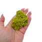Nontronite specimen no. 10 held in an open hand, showing the true size of this 2.22 inch, 56 gram piece.