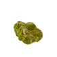 Nontronite no. 11 from the left profile, 3.60 inches long, its chalky green surface untreated and as-mined.