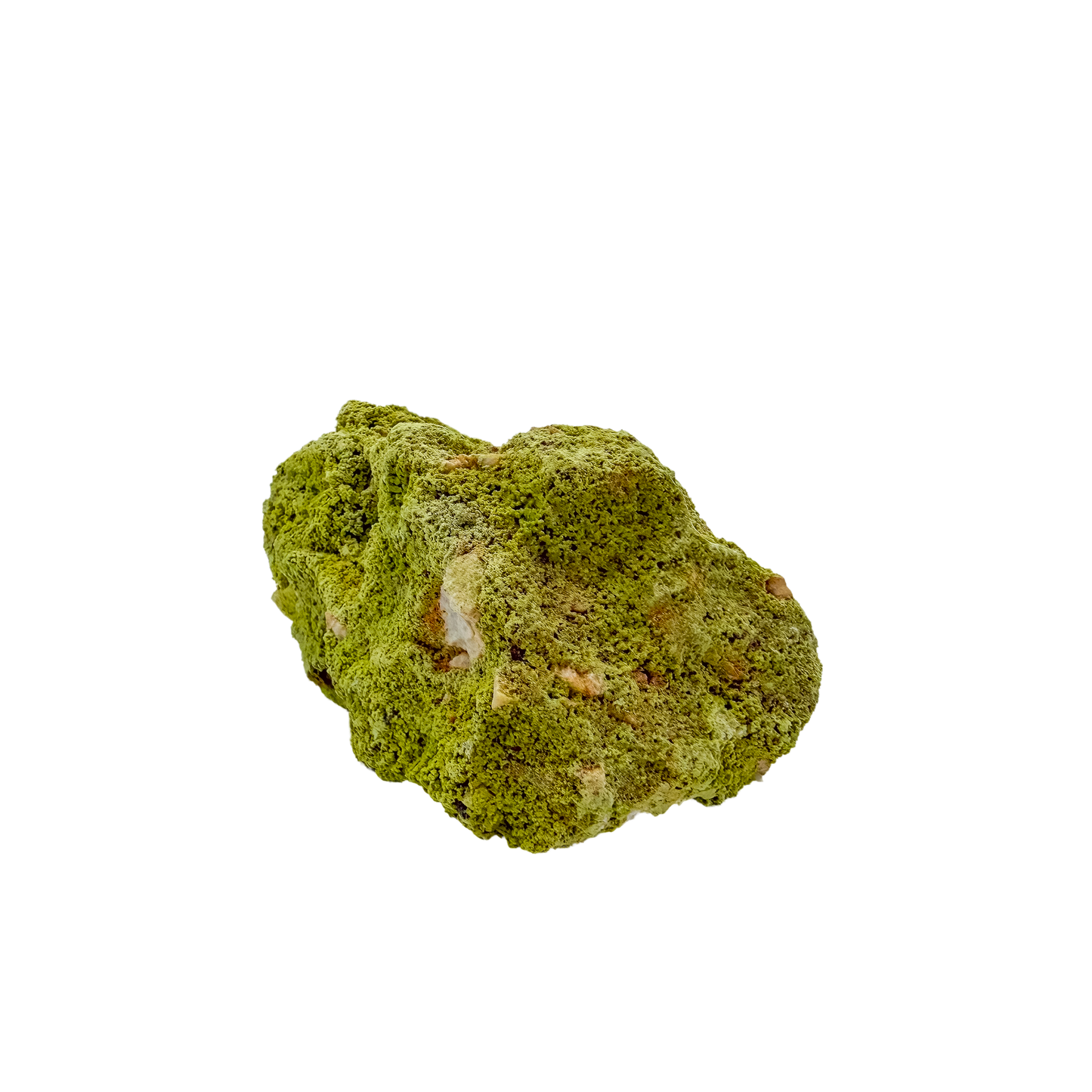 Nontronite no. 11 from the left profile, 3.60 inches long, its chalky green surface untreated and as-mined.