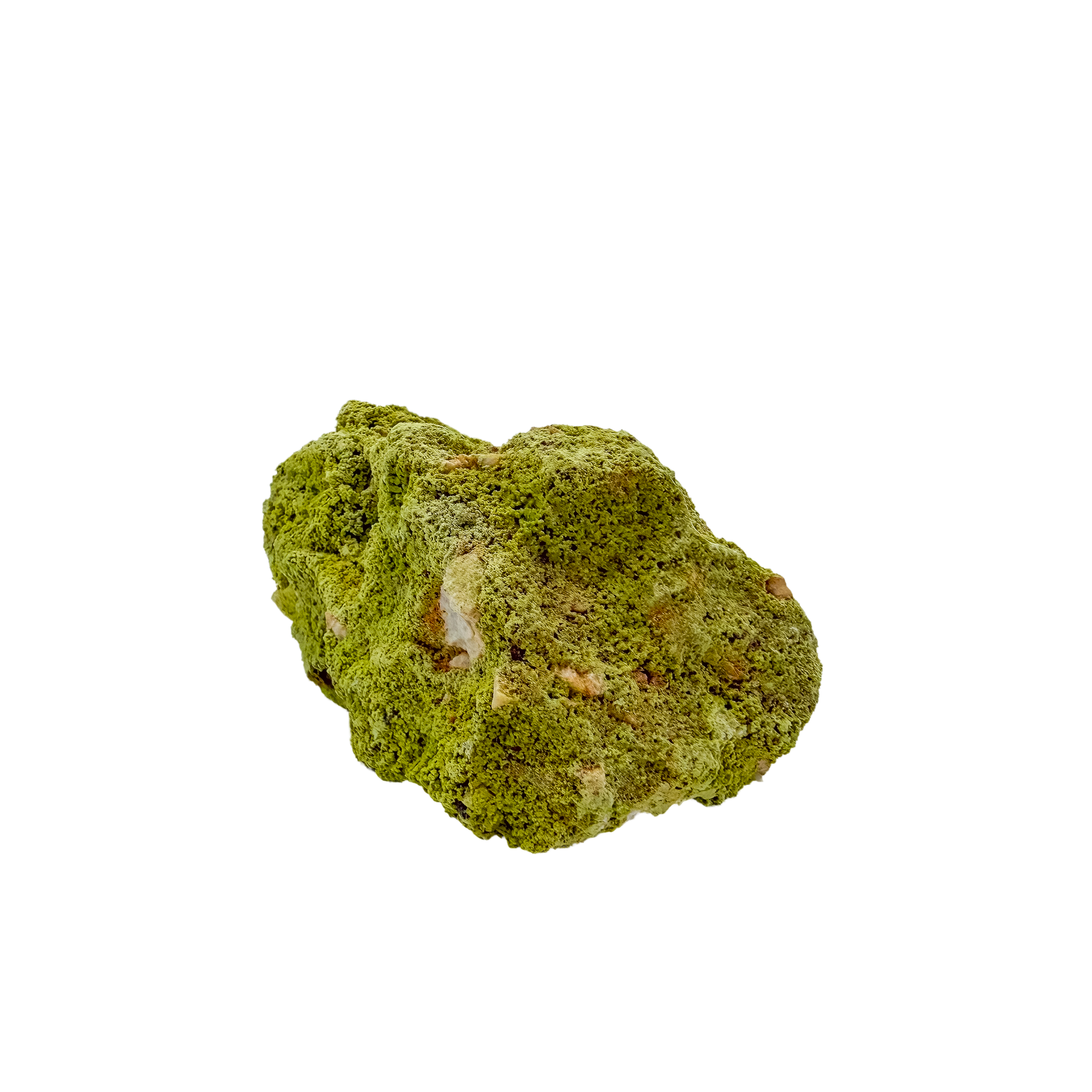 Nontronite no. 11 from the left profile, 3.60 inches long, its chalky green surface untreated and as-mined.