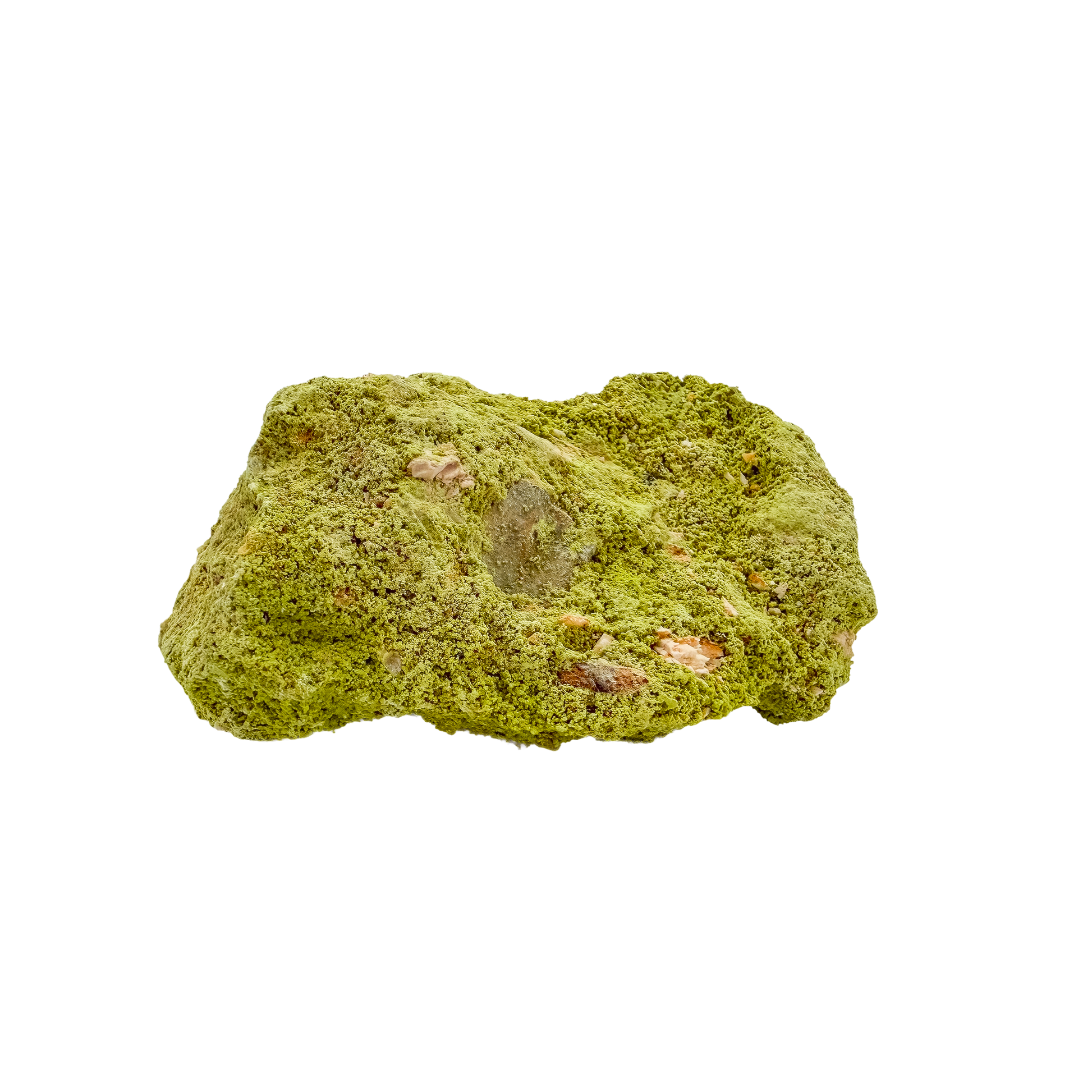 Untreated Brazilian nontronite, specimen no. 11, right profile, 2.41 by 1.57 inches of yellow-green botryoidal growth.