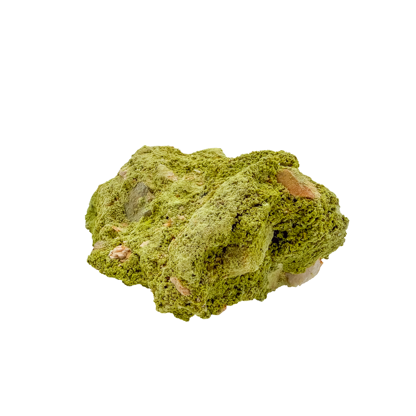 The top-down view of collector nontronite no. 11, 158 grams, showing how the bubbled crust wraps the host rock.