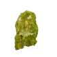 Nontronite specimen no. 11 photographed angled three-quarter view, a 3.60 by 2.41 inch piece of soft Mohs 1-2 clay mineral.