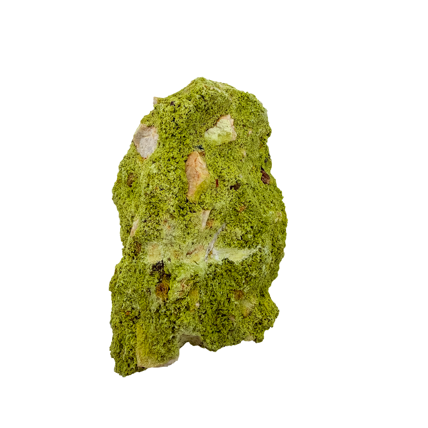 Nontronite specimen no. 11 photographed angled three-quarter view, a 3.60 by 2.41 inch piece of soft Mohs 1-2 clay mineral.