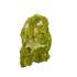 Nontronite specimen no. 11 photographed angled three-quarter view, a 3.60 by 2.41 inch piece of soft Mohs 1-2 clay mineral.