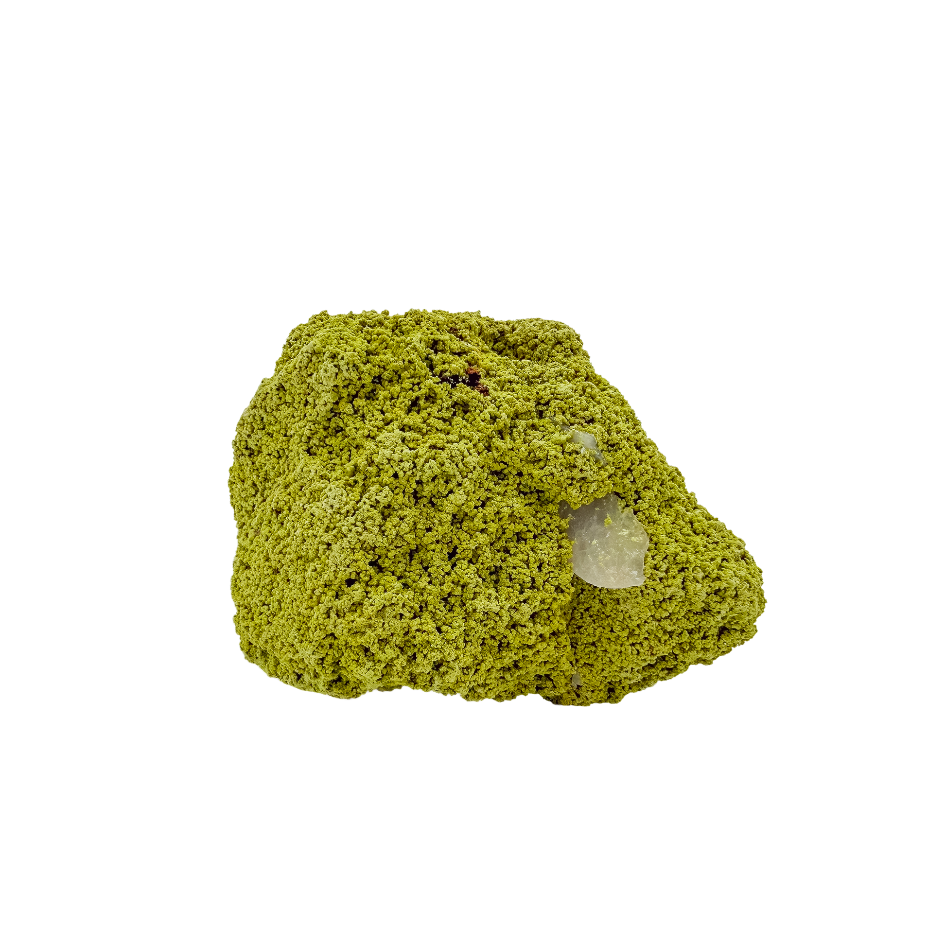 Collector-grade Brazilian nontronite no. 12 photographed from the reverse side, 3.28 by 2.09 inches of bubbled green clay mineral.