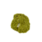 The left profile of nontronite no. 12, a 2.28 inch tall piece whose yellow-green surface reads as clustered bubbles.