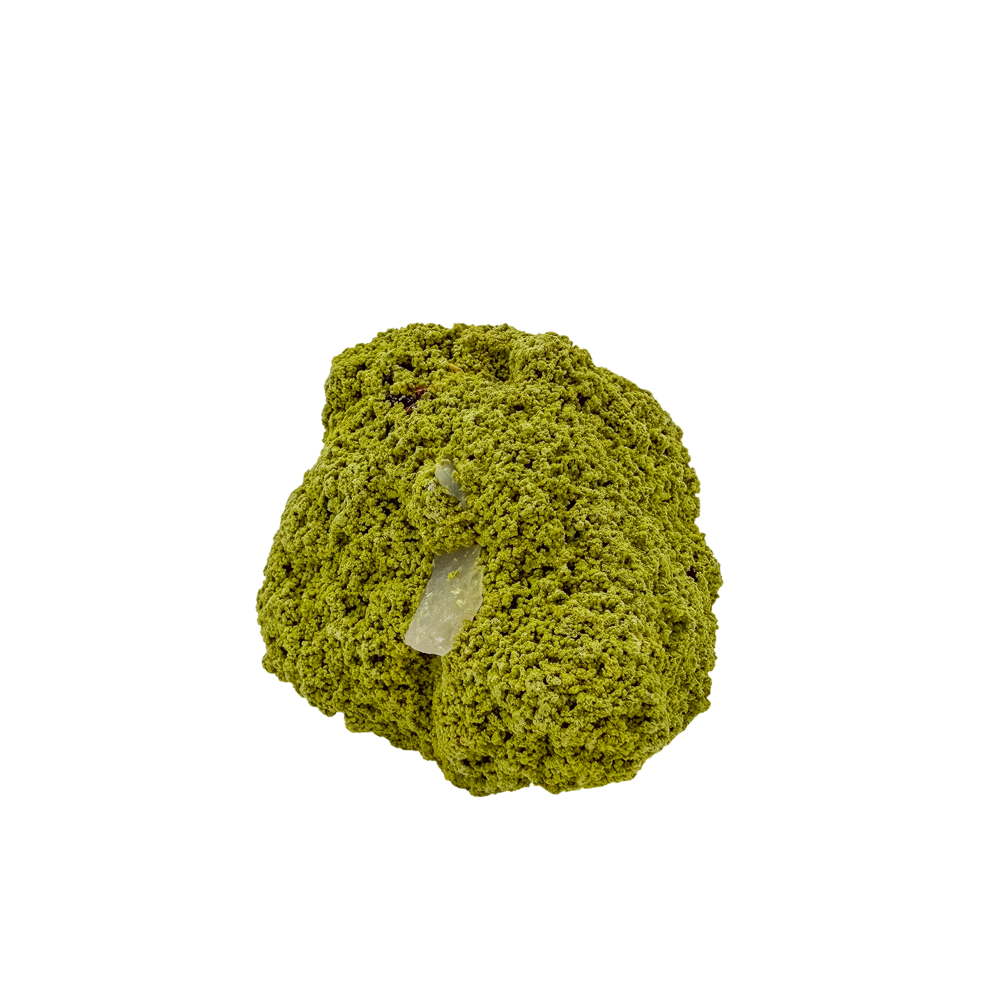 The left profile of nontronite no. 12, a 2.28 inch tall piece whose yellow-green surface reads as clustered bubbles.