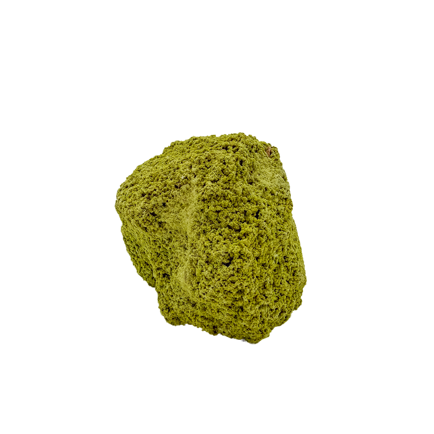Nontronite no. 12 seen from the right profile: 122 grams of iron-rich smectite clay in chartreuse and olive tones.