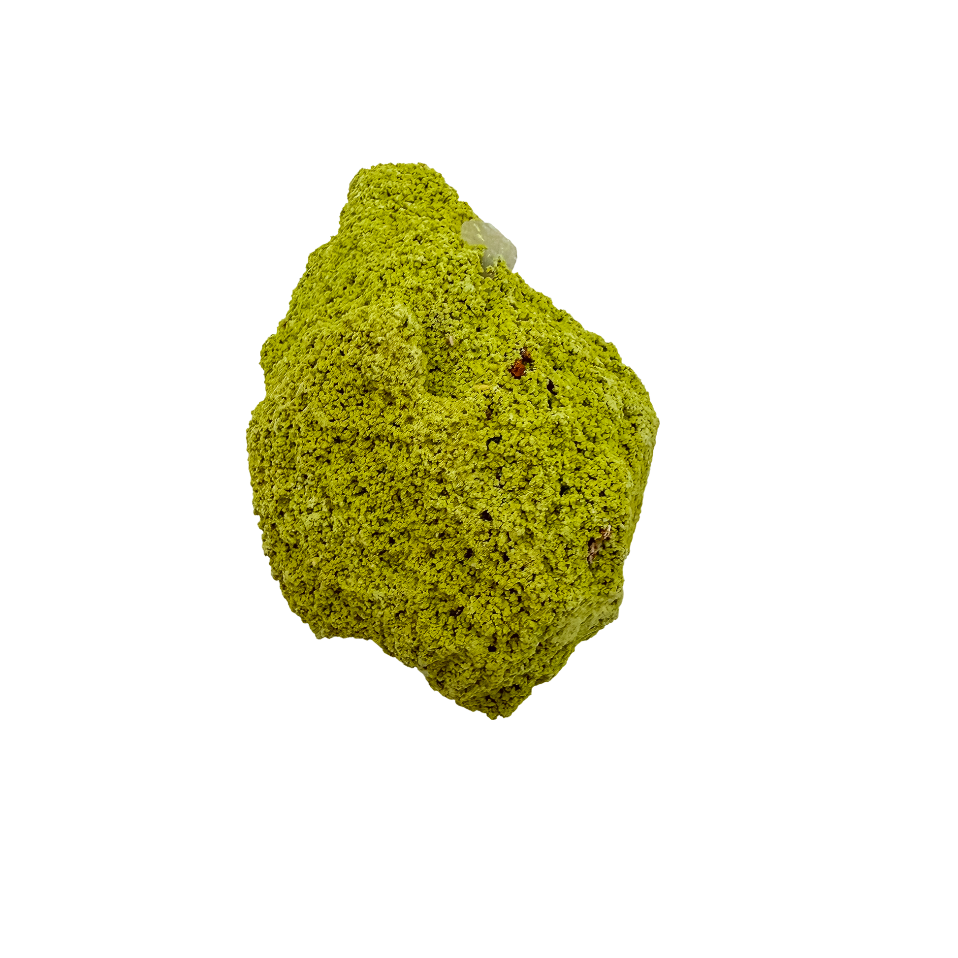 Top-down view of nontronite specimen no. 12, 2.09 inches wide, with soft botryoidal texture over exposed matrix.