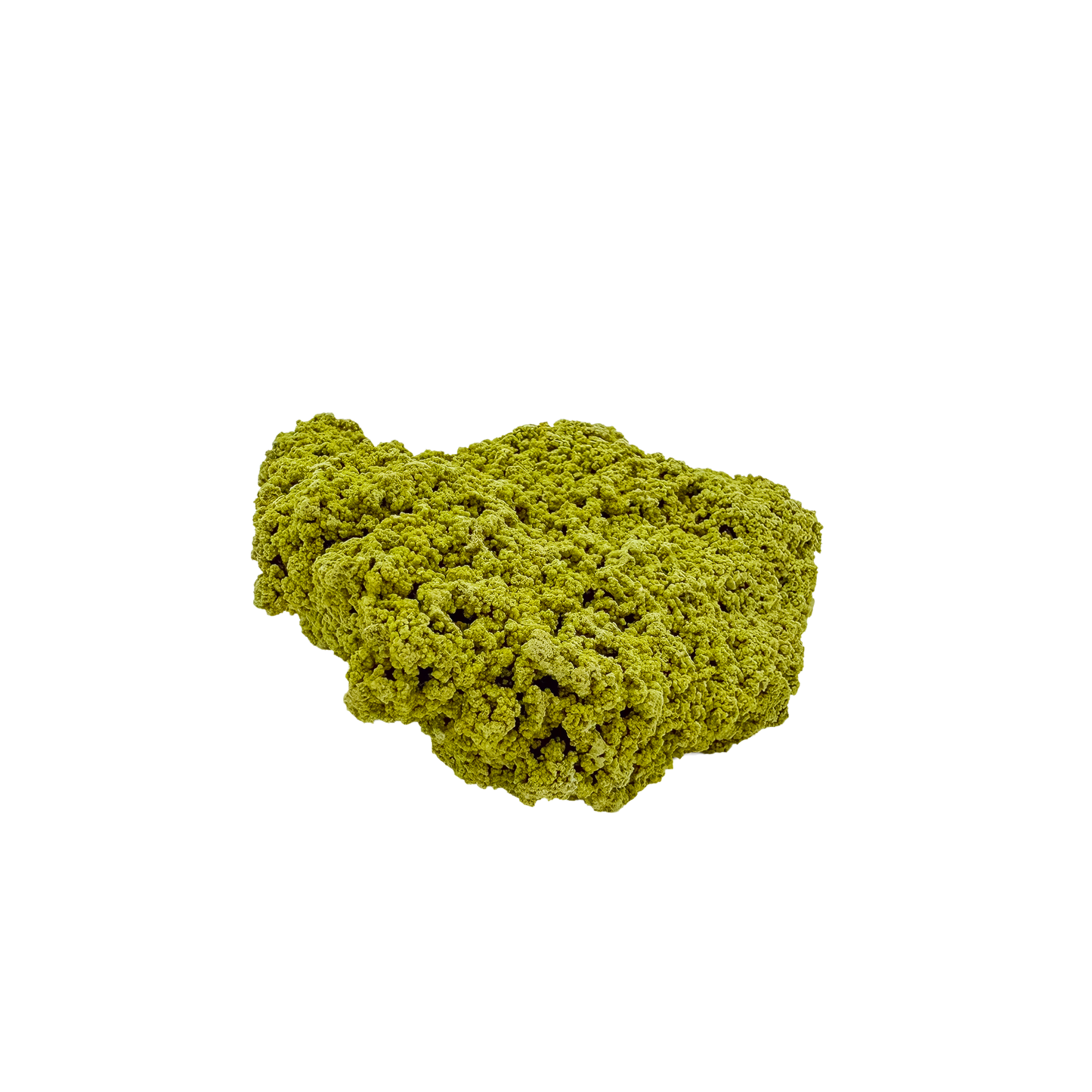 Reverse side of a rare nontronite specimen, no. 13, weighing 70 grams with chartreuse coloration throughout.