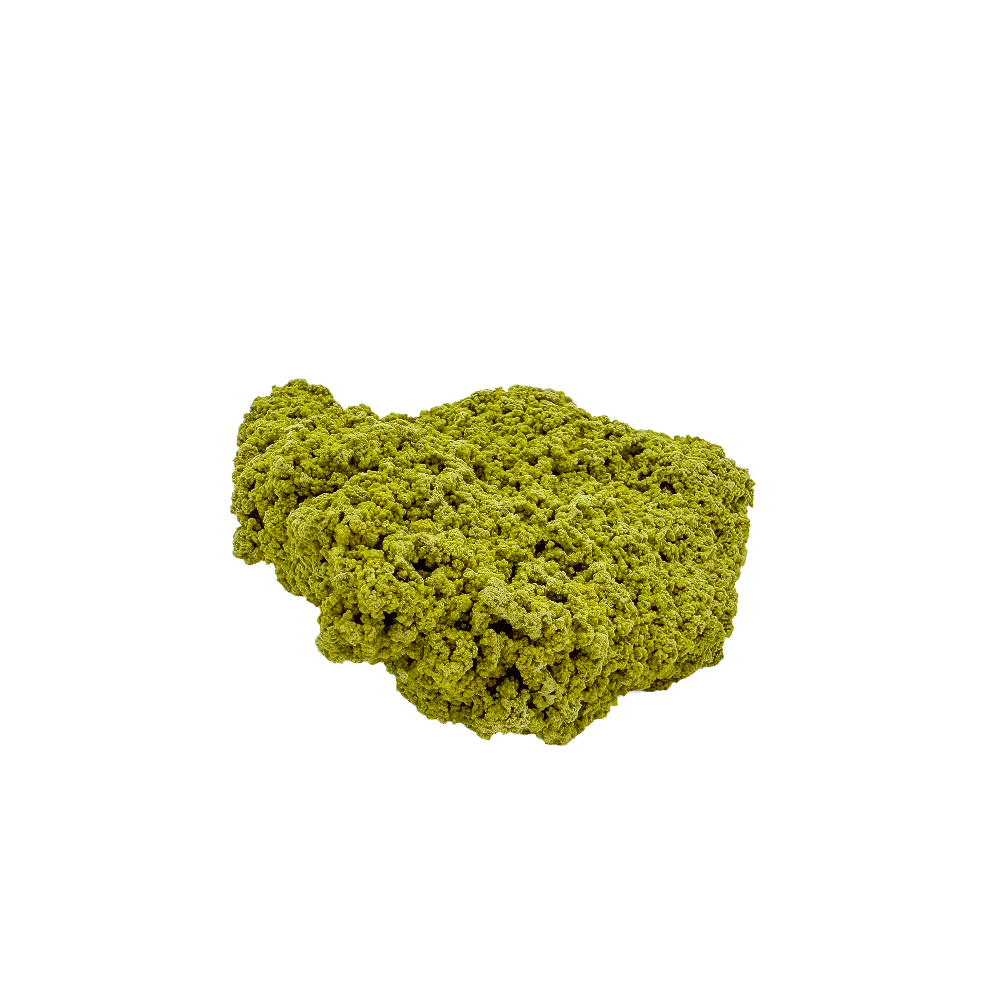 Reverse side of a rare nontronite specimen, no. 13, weighing 70 grams with chartreuse coloration throughout.