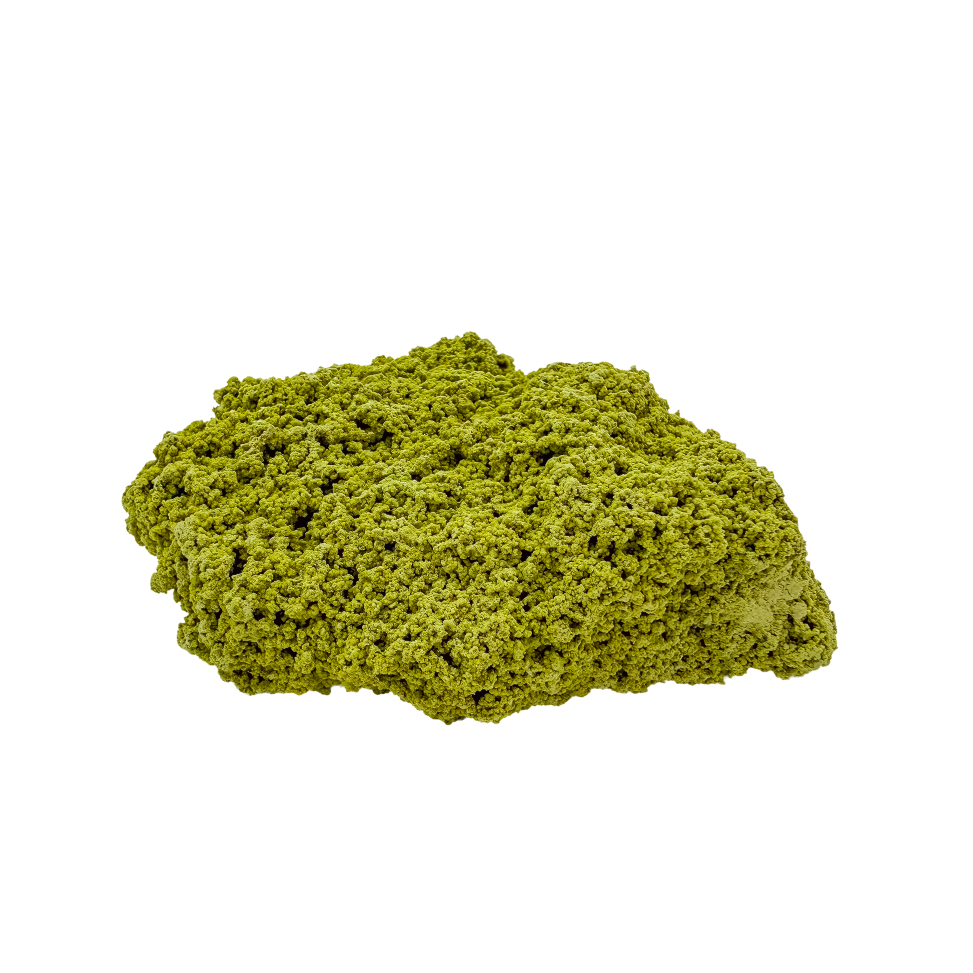 Nontronite no. 13 from the left profile, 3.18 inches long, its chalky green surface untreated and as-mined.