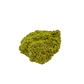 Untreated Brazilian nontronite, specimen no. 13, right profile, 2.88 by 1.02 inches of yellow-green botryoidal growth.