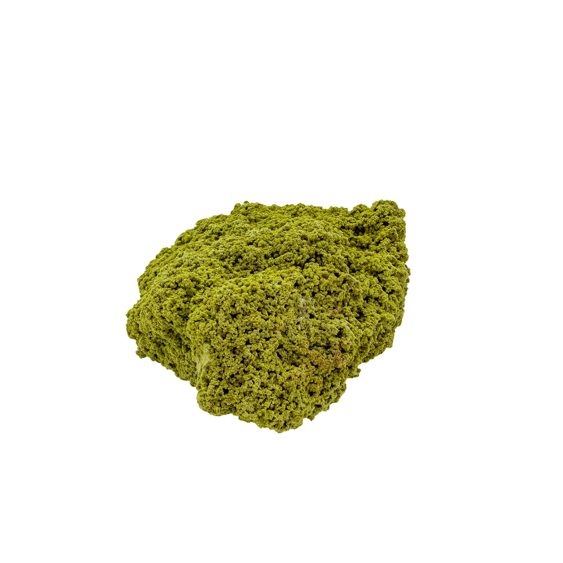 Untreated Brazilian nontronite, specimen no. 13, right profile, 2.88 by 1.02 inches of yellow-green botryoidal growth.