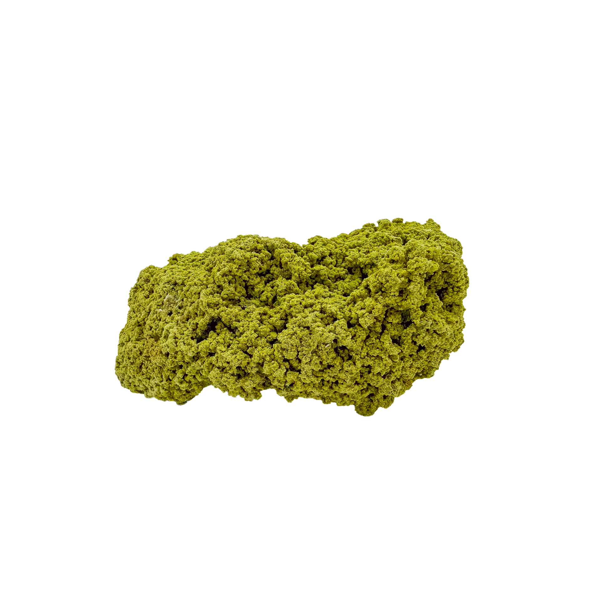 The top-down view of collector nontronite no. 13, 70 grams, showing how the bubbled crust wraps the host rock.