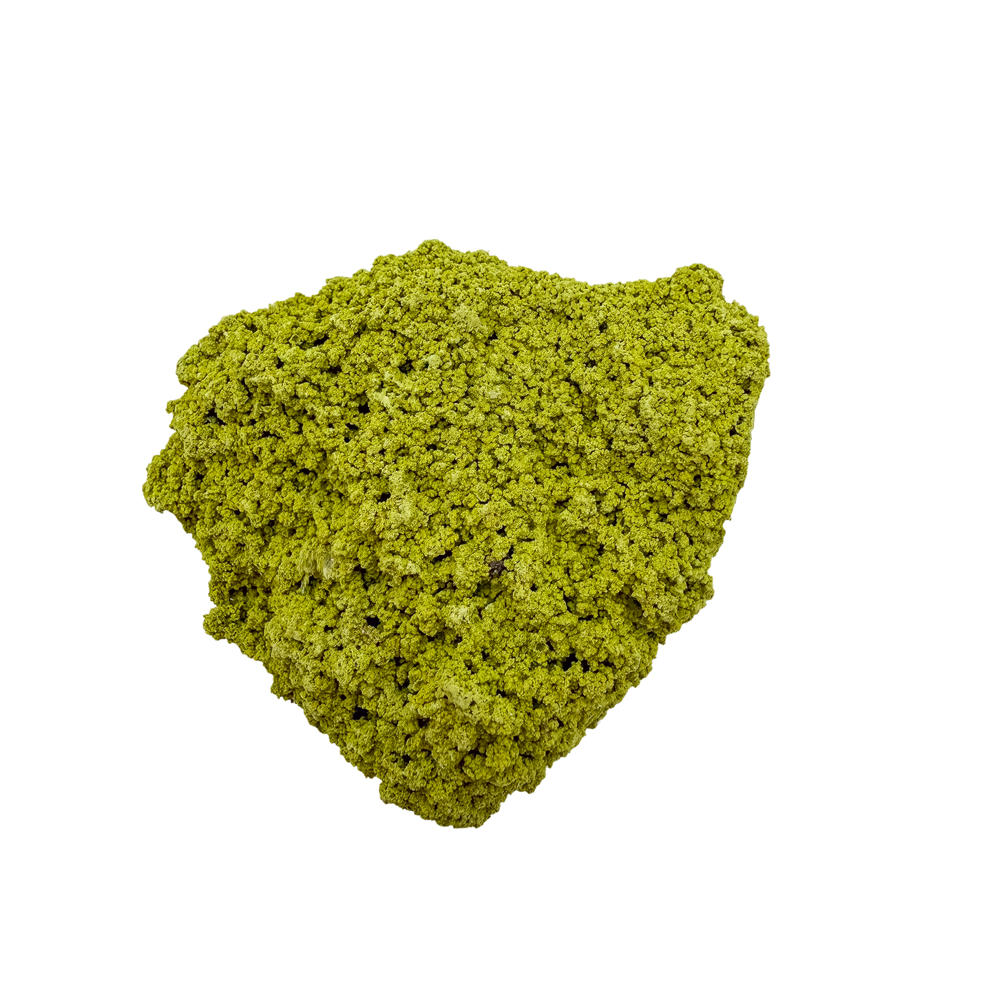 Specimen no. 13 of Minas Gerais nontronite, primary display face, olive-green bubbles built up over a 1.02 inch height.