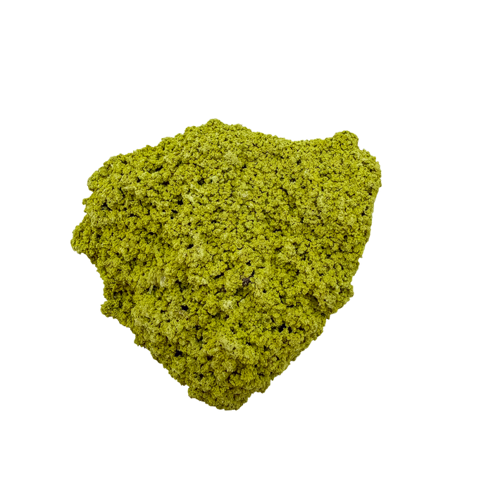 Specimen no. 13 of Minas Gerais nontronite, primary display face, olive-green bubbles built up over a 1.02 inch height.