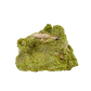 Primary display face of a 180 gram nontronite specimen, no. 14, its rounded olive-green growths covering weathered host rock.