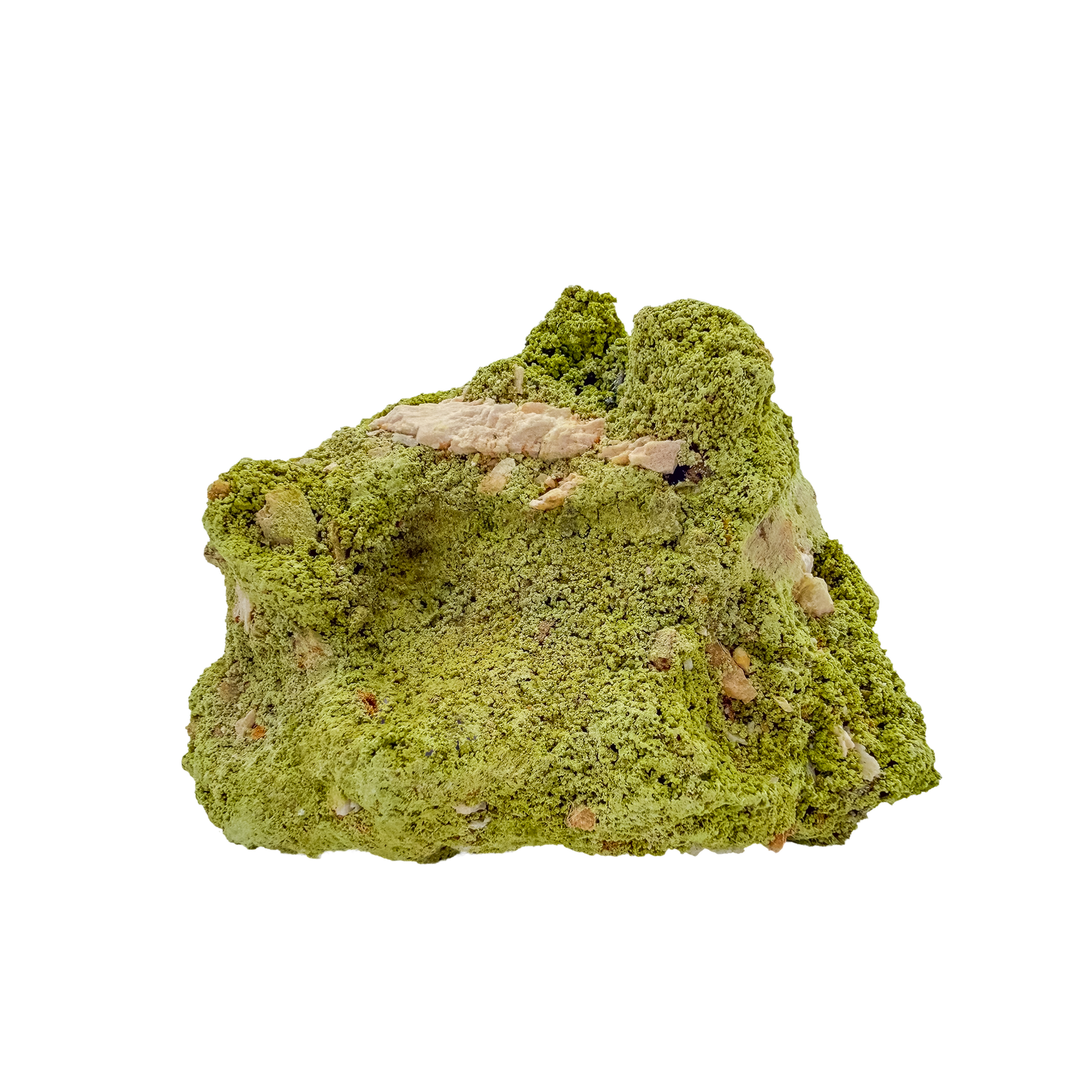 Primary display face of a 180 gram nontronite specimen, no. 14, its rounded olive-green growths covering weathered host rock.