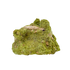 Primary display face of a 180 gram nontronite specimen, no. 14, its rounded olive-green growths covering weathered host rock.