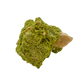 The left profile of nontronite no. 14, a 2.37 inch tall piece whose yellow-green surface reads as clustered bubbles.