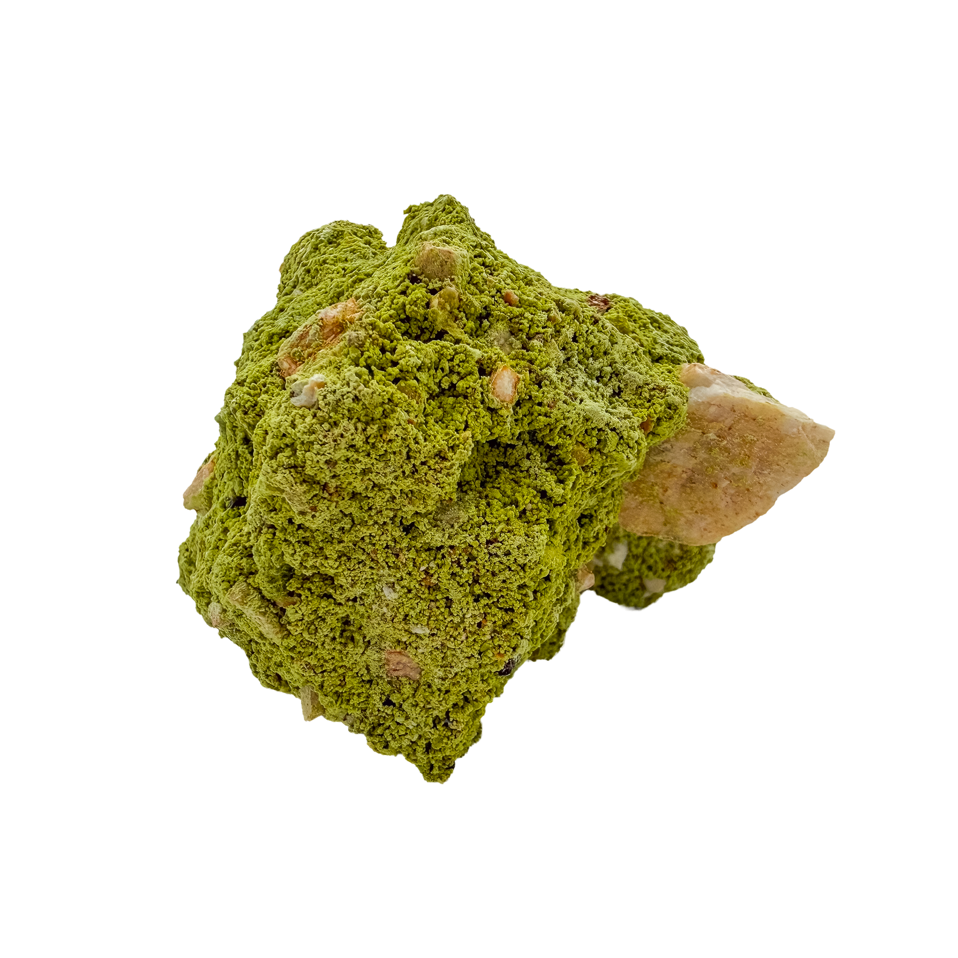 The left profile of nontronite no. 14, a 2.37 inch tall piece whose yellow-green surface reads as clustered bubbles.